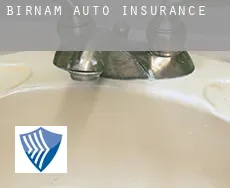 Birnam  auto insurance