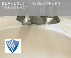 Blakeney  homeowners insurance