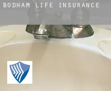 Bodham  life insurance