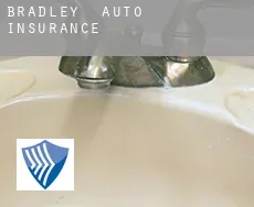 Bradley  auto insurance