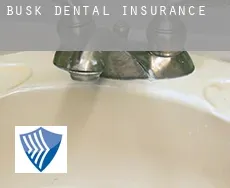 Busk  dental insurance