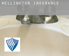Wellington  insurance