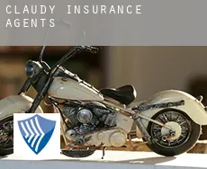 Claudy  insurance agents