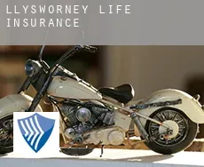 Llysworney  life insurance