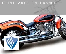 Flint auto insurance