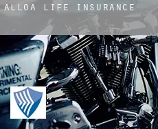 Alloa  life insurance
