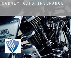 Cadney  auto insurance