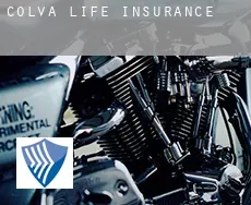 Colva  life insurance