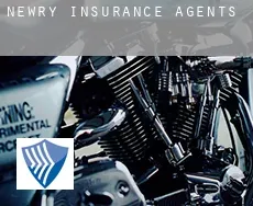 Newry  insurance agents