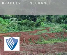 Bradley  insurance