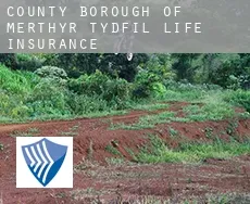 Merthyr Tydfil (County Borough)  life insurance