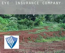 Eye  insurance company