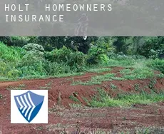 Holt  homeowners insurance