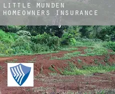 Little Munden  homeowners insurance