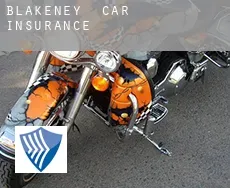 Blakeney  car insurance