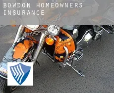 Bowdon  homeowners insurance