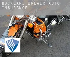 Buckland Brewer  auto insurance