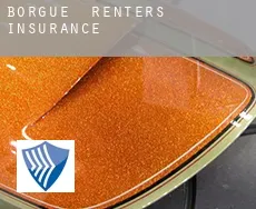 Borgue  renters insurance