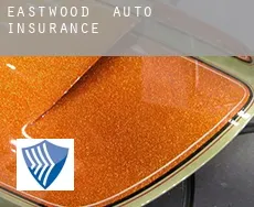 Eastwood auto insurance
