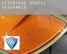 Etteridge  dental insurance