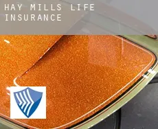 Hay Mills  life insurance