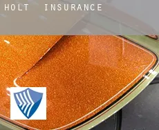 Holt insurance