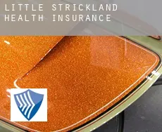 Little Strickland  health insurance