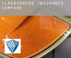 Llandygwydd  insurance company