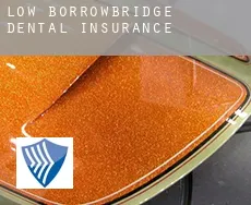 Low Borrowbridge  dental insurance