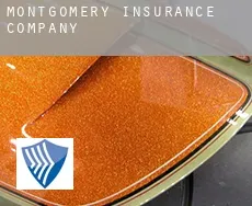 Montgomery  insurance company