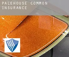 Palehouse Common  insurance