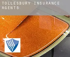 Tollesbury  insurance agents