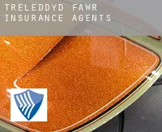 Treleddyd-fawr  insurance agents