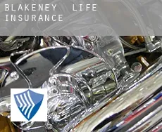 Blakeney  life insurance