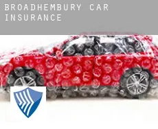 Broadhembury  car insurance