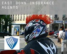 East Down  insurance agents