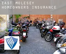 East Molesey  homeowners insurance