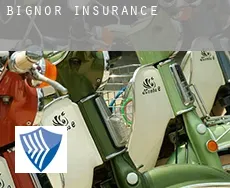 Bignor  insurance