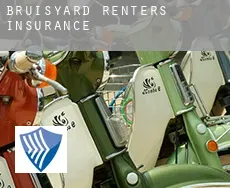 Bruisyard  renters insurance