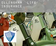 Ellingham life insurance
