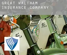 Great Waltham  insurance company