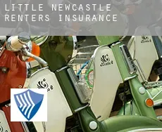 Little Newcastle renters insurance
