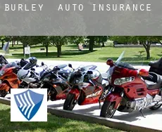 Burley  auto insurance