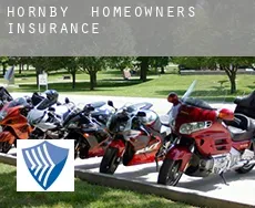 Hornby  homeowners insurance