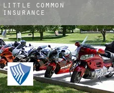 Little Common  insurance