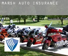 Marsh  auto insurance