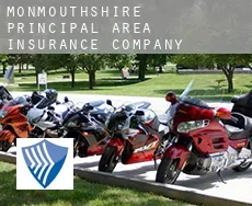 Monmouthshire principal area  insurance company