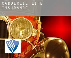Cadderlie life insurance
