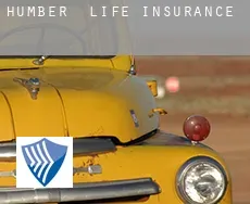 Humber  life insurance