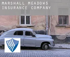 Marshall Meadows  insurance company